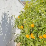 La Casa Di Valentina Apartmán